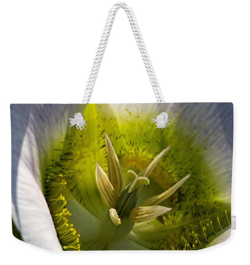 Botanical Weekender Tote Bag featuring the photograph Mariposa Lily by Alana Thrower