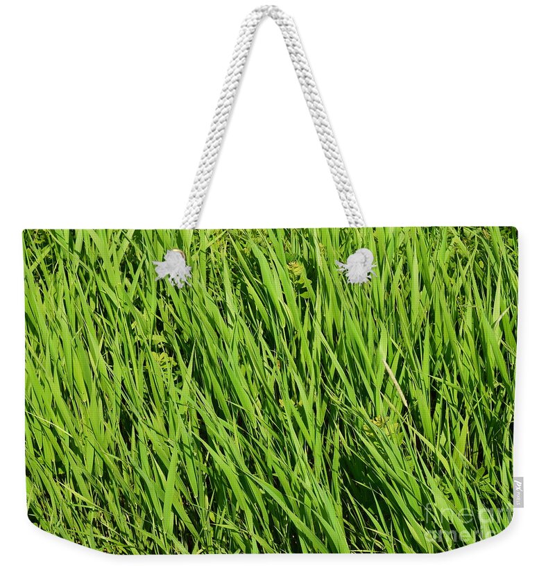 Green Weekender Tote Bag featuring the photograph Marsh Grasses by Barrie Stark