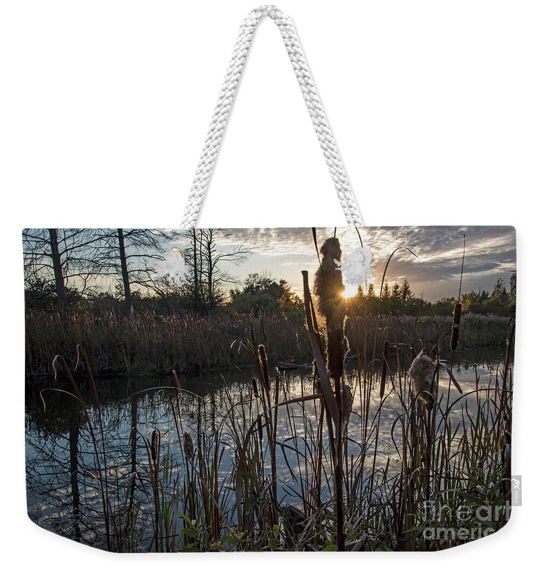 Marsh Weekender Tote Bag featuring the photograph Marsh-pond-RawlinsonPark by Steve Somerville