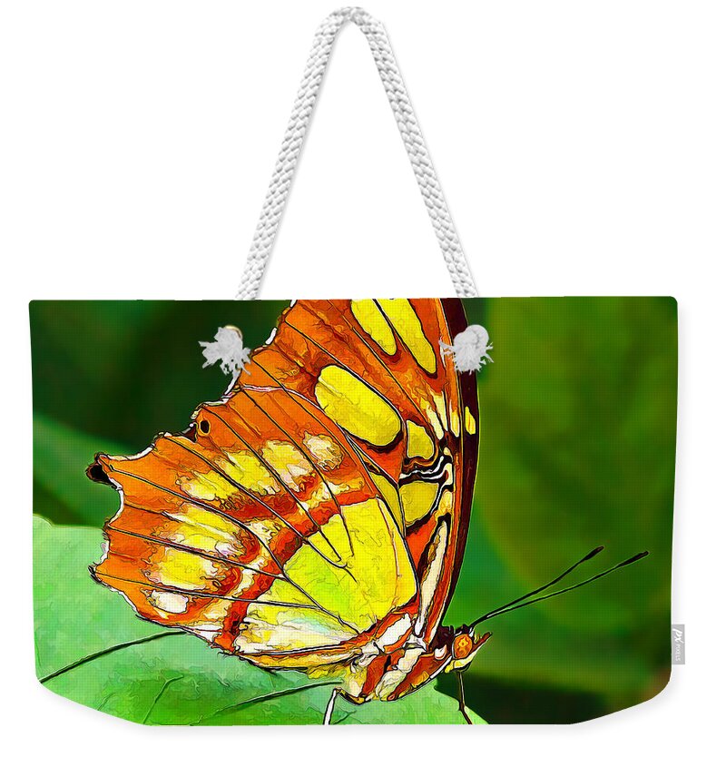 Nature Weekender Tote Bag featuring the photograph Marvelous Malachite Butterfly by ABeautifulSky Photography by Bill Caldwell