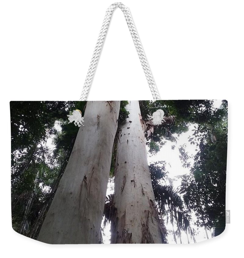 Photography Weekender Tote Bag featuring the photograph Mary Cairncross Rainforest by Cassy Allsworth