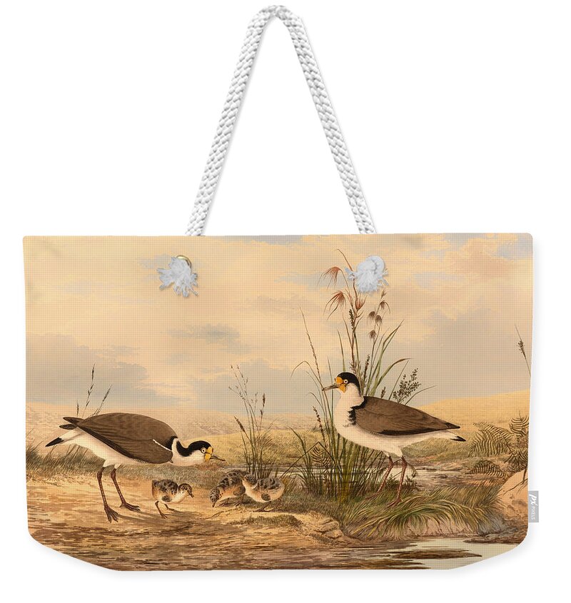 Painting Weekender Tote Bag featuring the painting Masked Lapwing by Mountain Dreams