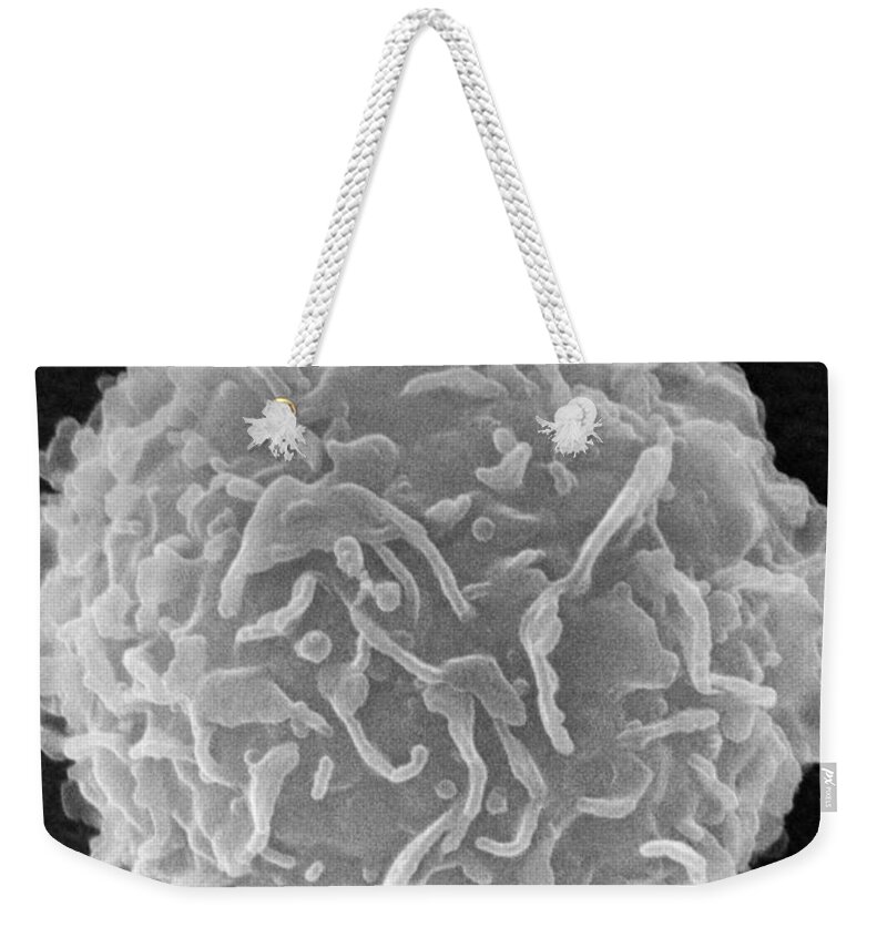Biology Weekender Tote Bag featuring the photograph Mast Cell SEM by Don Fawcett and E Shelton and Photo Researchers