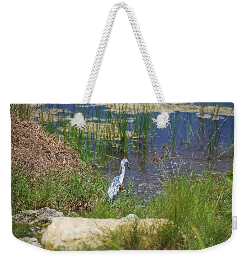 Blue Heron Weekender Tote Bag featuring the photograph Master of His Sea by Michiale Schneider