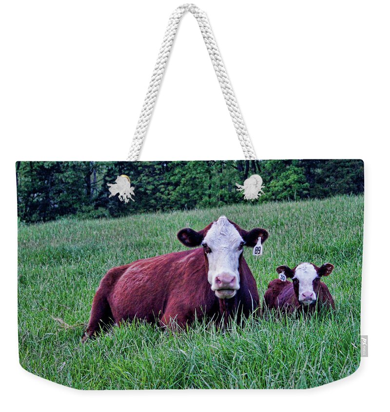 Cow Weekender Tote Bag featuring the photograph Matched Set by Cricket Hackmann