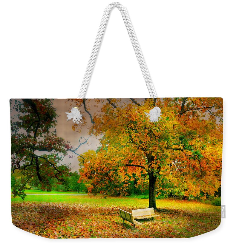 Matters To Me Weekender Tote Bag featuring the photograph Matters To Me by Diana Angstadt