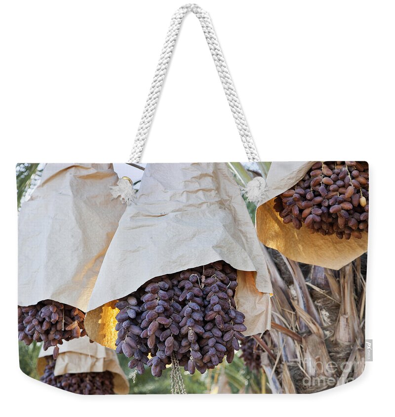 Date Weekender Tote Bag featuring the photograph Maturing Dates by Inga Spence