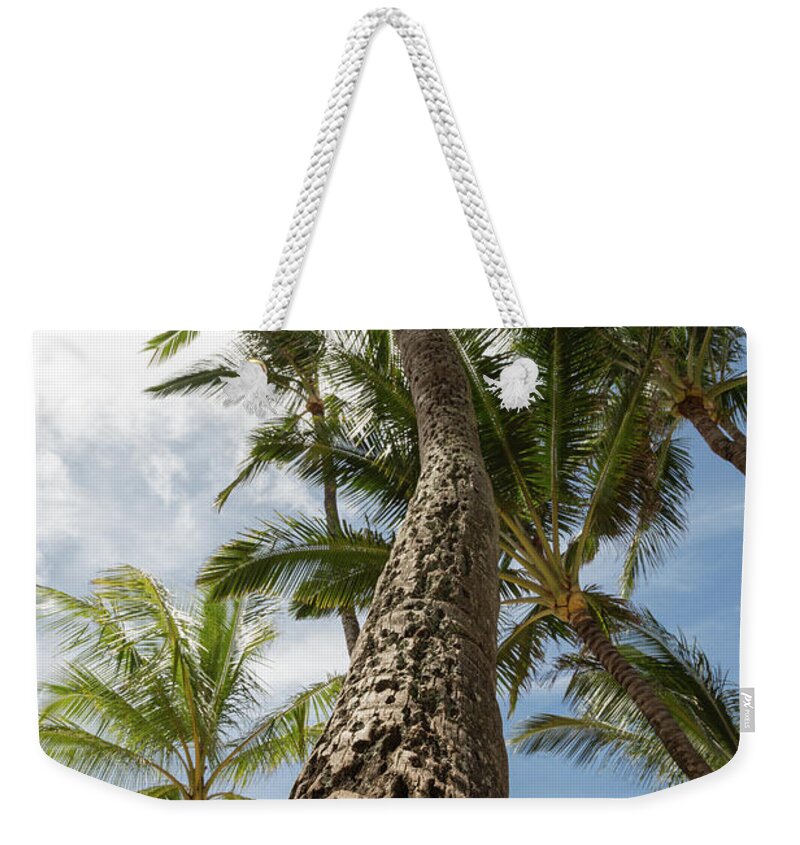 Maui Weekender Tote Bag featuring the photograph Maui Palm 2 by John Daly
