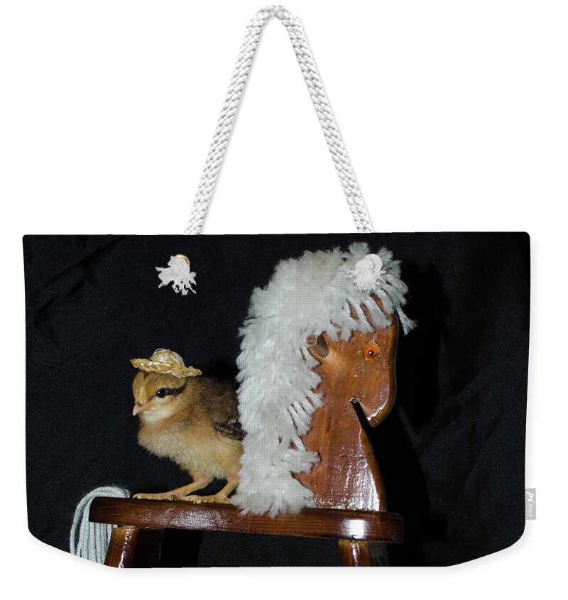 Bird Weekender Tote Bag featuring the photograph Me And My Rocking Horse by Donna Brown