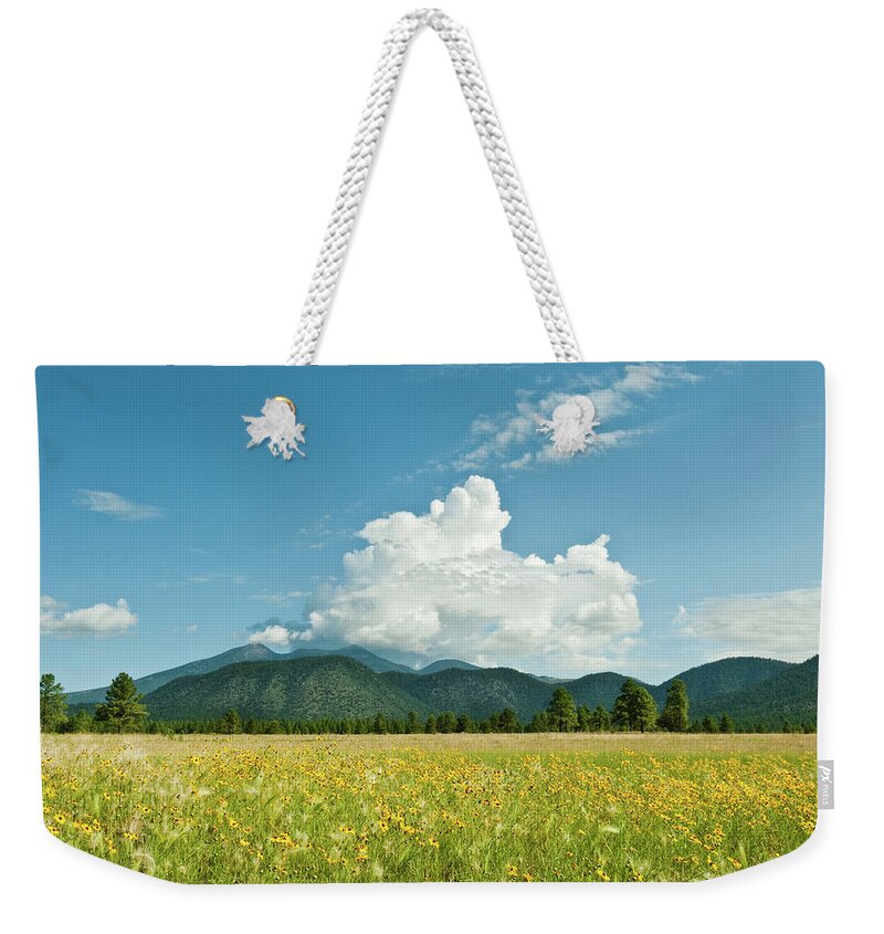 Arizona Weekender Tote Bag featuring the photograph Meadow of Sunflowers and the San Francisco Peaks by Jeff Goulden