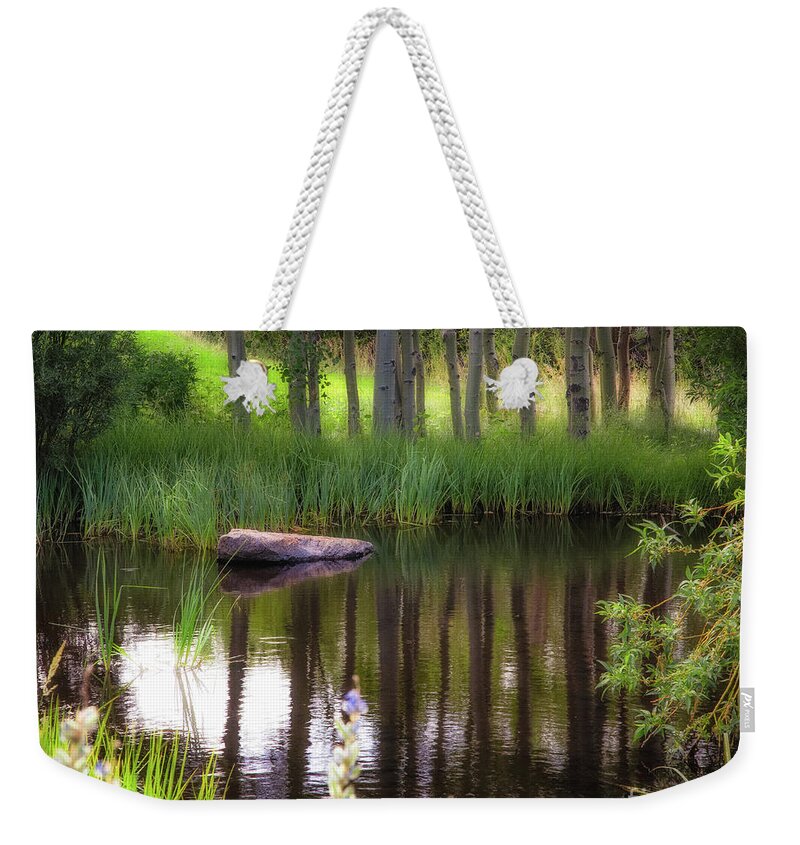 Meadow Weekender Tote Bag featuring the photograph Meadow Pond by Anthony Michael Bonafede