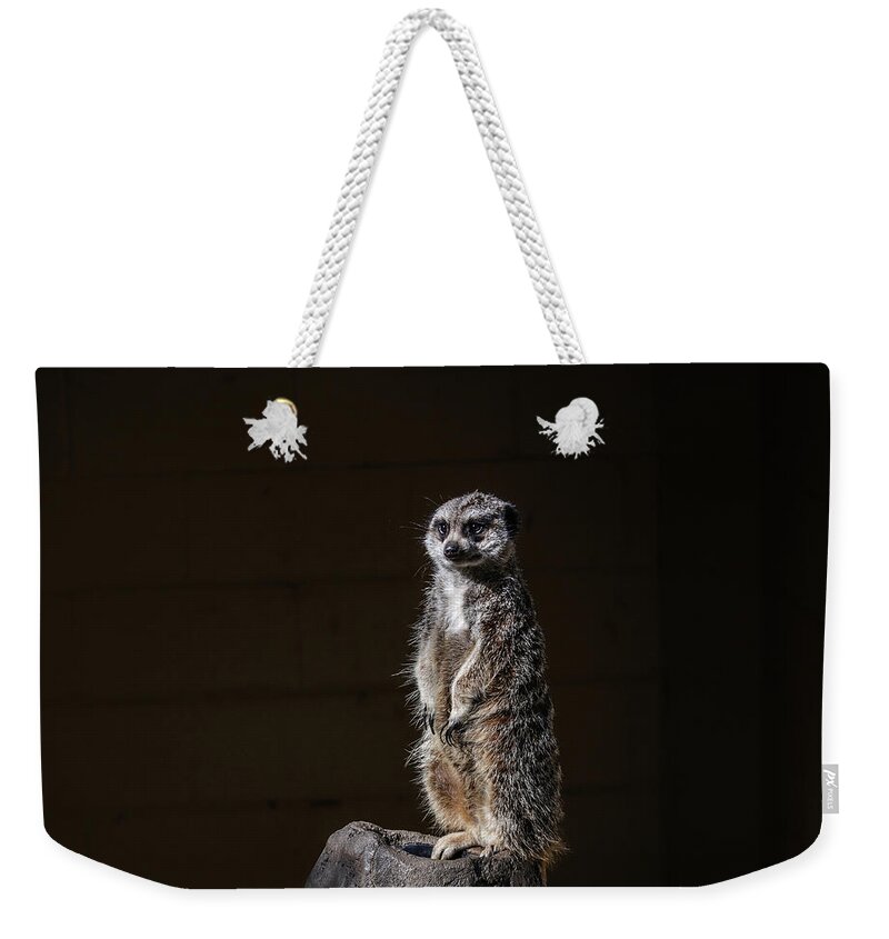 Meerkat Weekender Tote Bag featuring the digital art Meerkat by Kathleen Illes