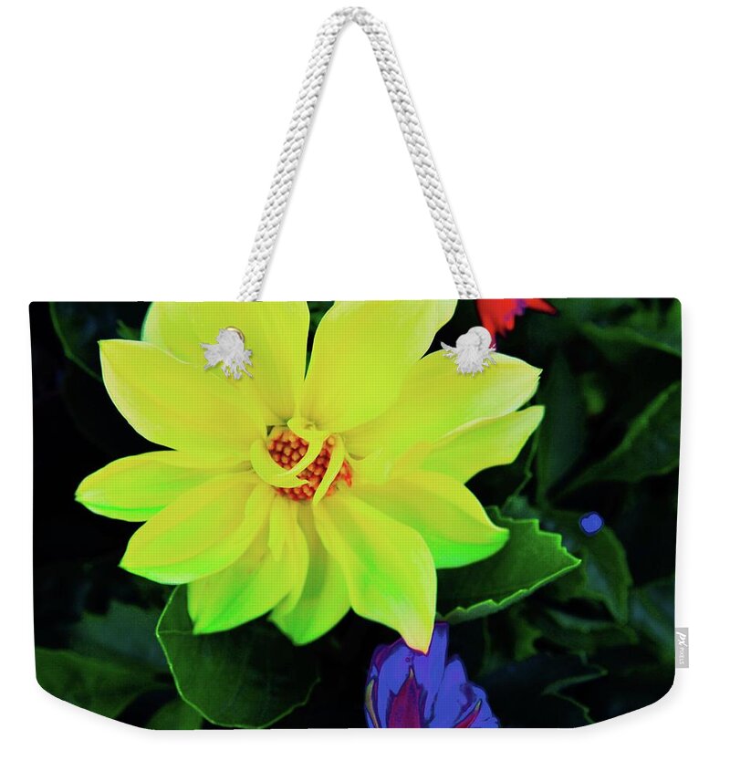 Nature Weekender Tote Bag featuring the photograph Mello Yellow by Joe Burns