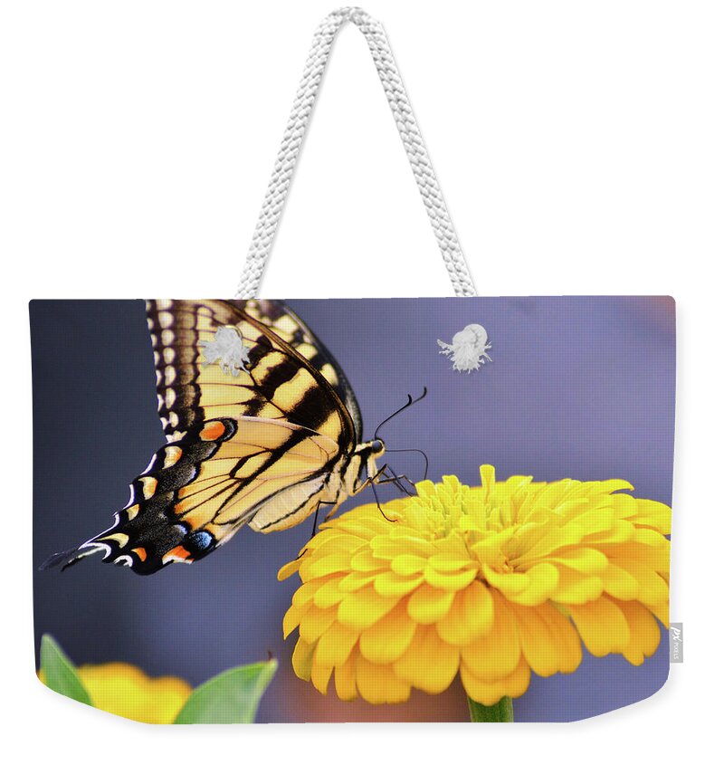 Kathy Kelly Weekender Tote Bag featuring the photograph Mellow Yellow by Kathy Kelly