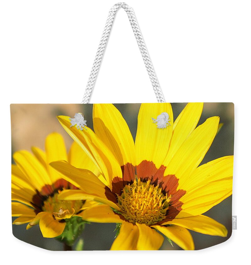 Nature Weekender Tote Bag featuring the photograph Mellow Yellow by Sheila Brown