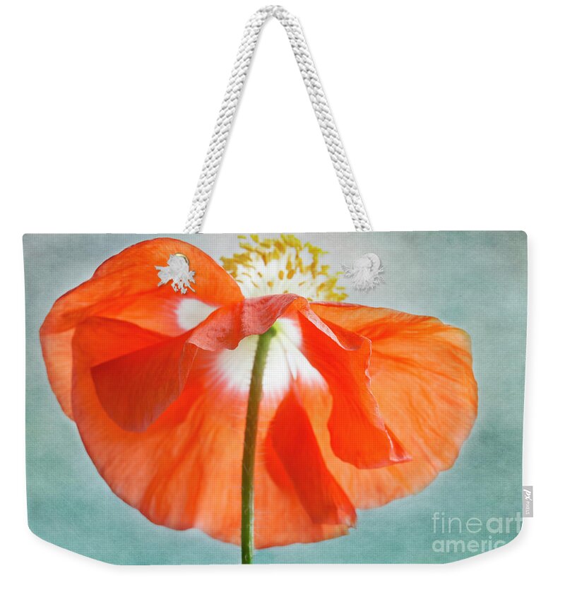 Memorial Day Weekender Tote Bag featuring the photograph Memorial Day by Elena Nosyreva