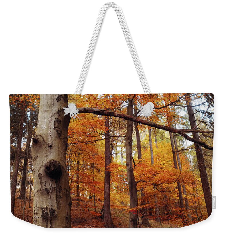 Jenny Rainbow Fine Art Photography Weekender Tote Bag featuring the photograph Memory of the Trees by Jenny Rainbow