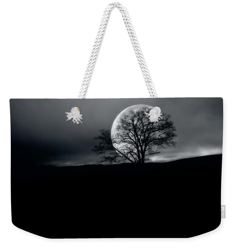 Landscape Weekender Tote Bag featuring the photograph Memory of Trees Part Three by Bob Orsillo
