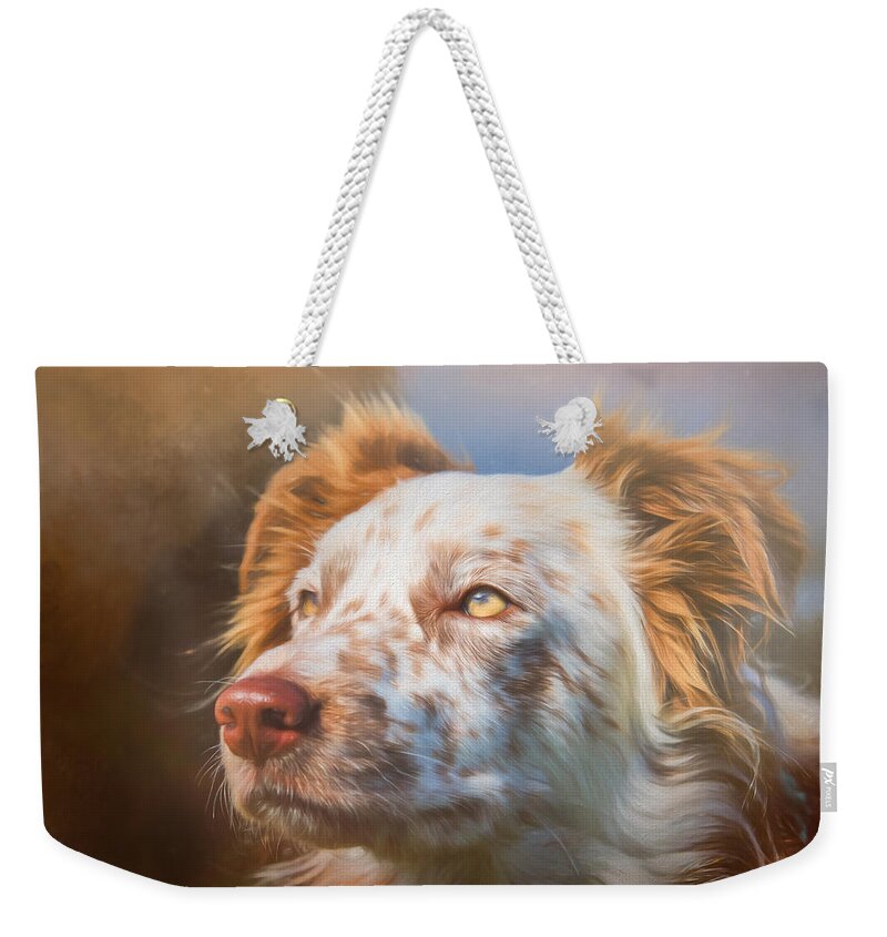Border Collie Weekender Tote Bag featuring the photograph Merle Border Collie by Eleanor Abramson