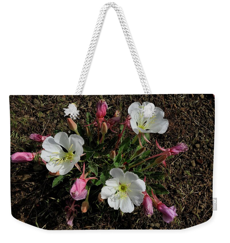 Flowers Weekender Tote Bag featuring the photograph Mesa Blooms by Ron Cline