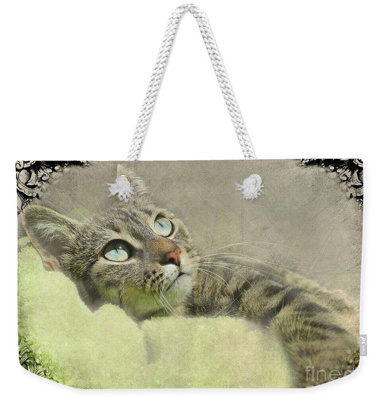 Kitty Weekender Tote Bag featuring the photograph Mesmerism by Heather King