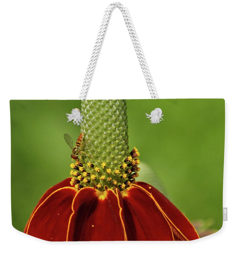 Mexican Hat Prairie Coneflower Weekender Tote Bag featuring the photograph Mexican Hat Prairie Coneflower by Natural Focal Point Photography