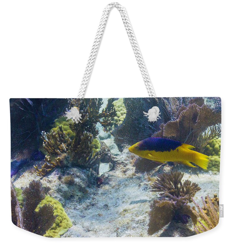 Ocean Weekender Tote Bag featuring the photograph Mi Casa by Lynne Browne