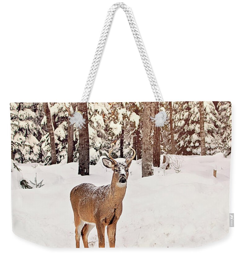 Michigan Whitetail Deer Weekender Tote Bag featuring the photograph Michigan Whitetail Print by Gwen Gibson