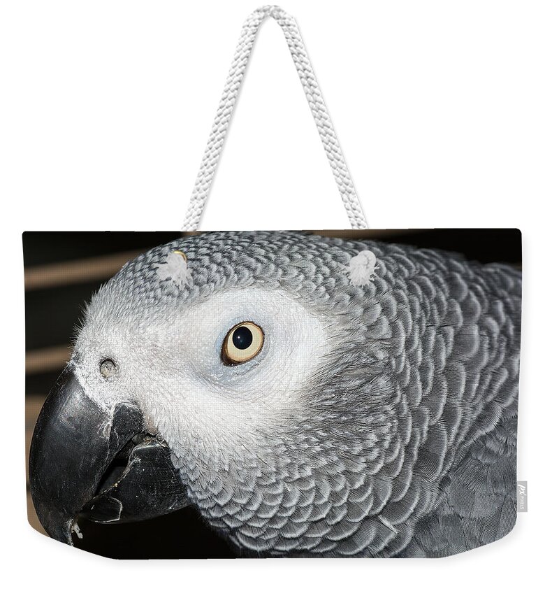 Wildlife Weekender Tote Bag featuring the photograph Mickie The Bird by Kenneth Albin