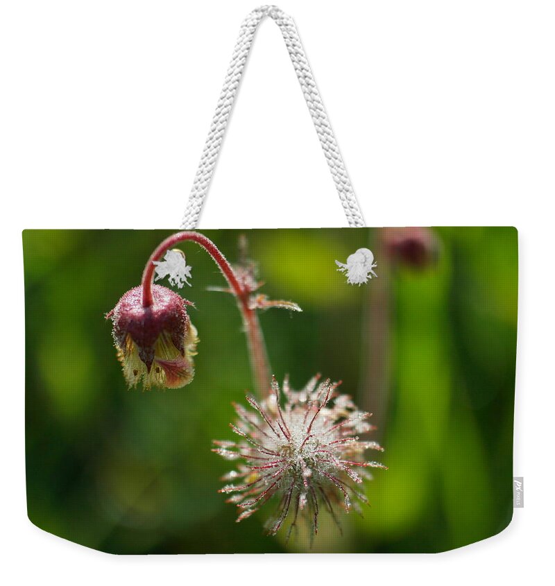 Macro Weekender Tote Bag featuring the photograph Microcosm of beauty by Jeff Swan