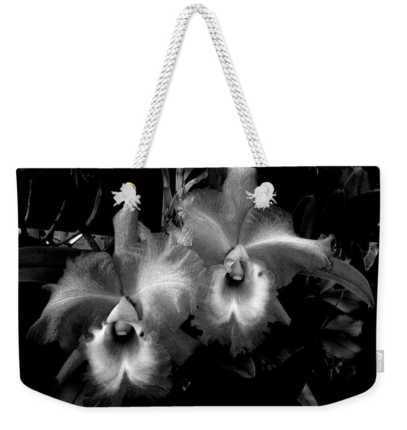 Orchid Weekender Tote Bag featuring the photograph Midnight Orchids by Lesa Fine