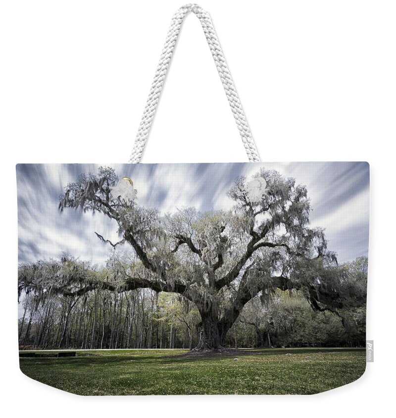Oak Tree Weekender Tote Bag featuring the photograph Mighty Oak by Robert Fawcett