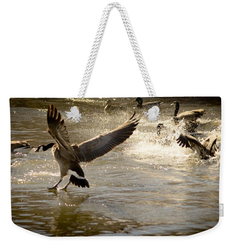 Lwater Weekender Tote Bag featuring the photograph Minden 4 by Catherine Sobredo