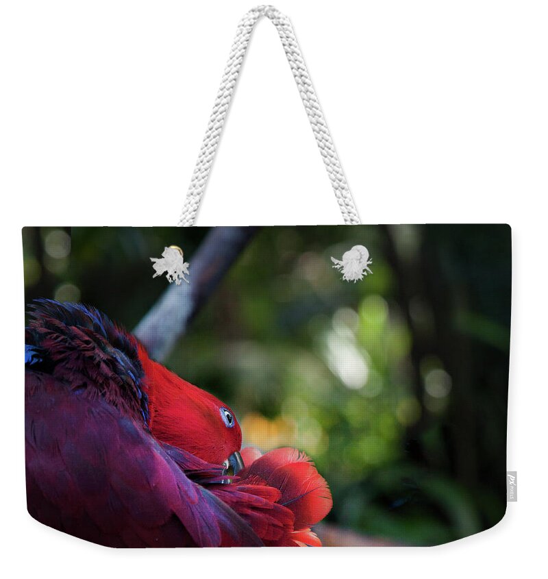 Theresa Tahara Weekender Tote Bag featuring the photograph Miksang 4 Parrot by Theresa Tahara