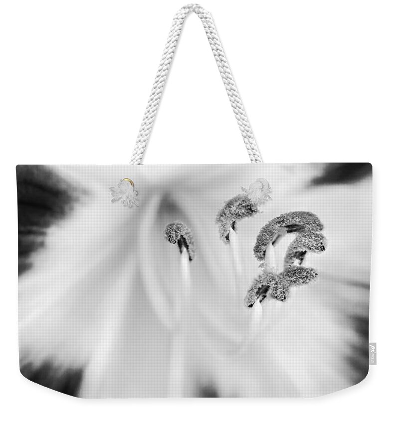 Day Lily Weekender Tote Bag featuring the photograph Milk Drop Lily by Jennie Breeze