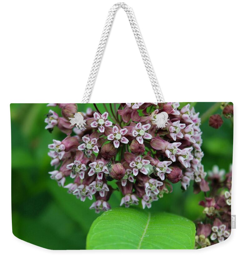 Photograph Weekender Tote Bag featuring the photograph Milkweed in Bloom on the Blue Ridge by M E