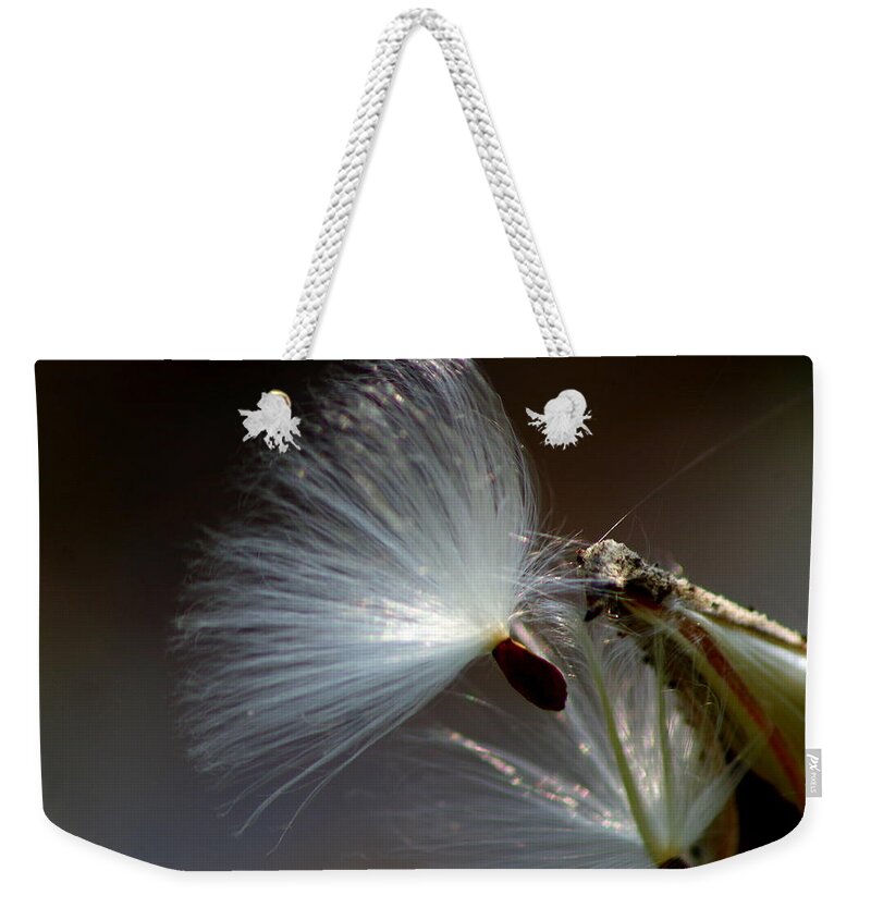 Milkweed Weekender Tote Bag featuring the photograph Milkweed by Mary Courtney
