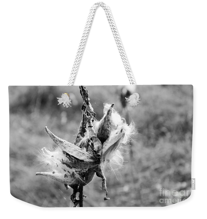 Milkweed Weekender Tote Bag featuring the photograph Milkweed Memories by Laurel Best