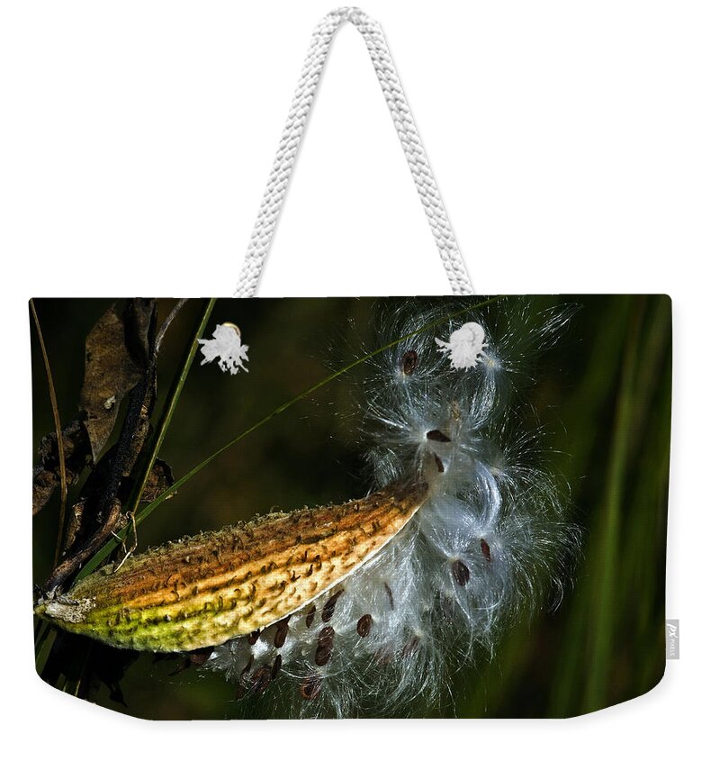 Autumn Weekender Tote Bag featuring the photograph Milkweed pod by Al Mueller