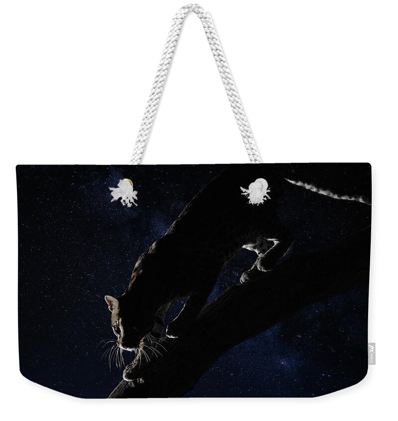 Milky Way Weekender Tote Bag featuring the photograph Milky Way Ocelot by Wade Aiken
