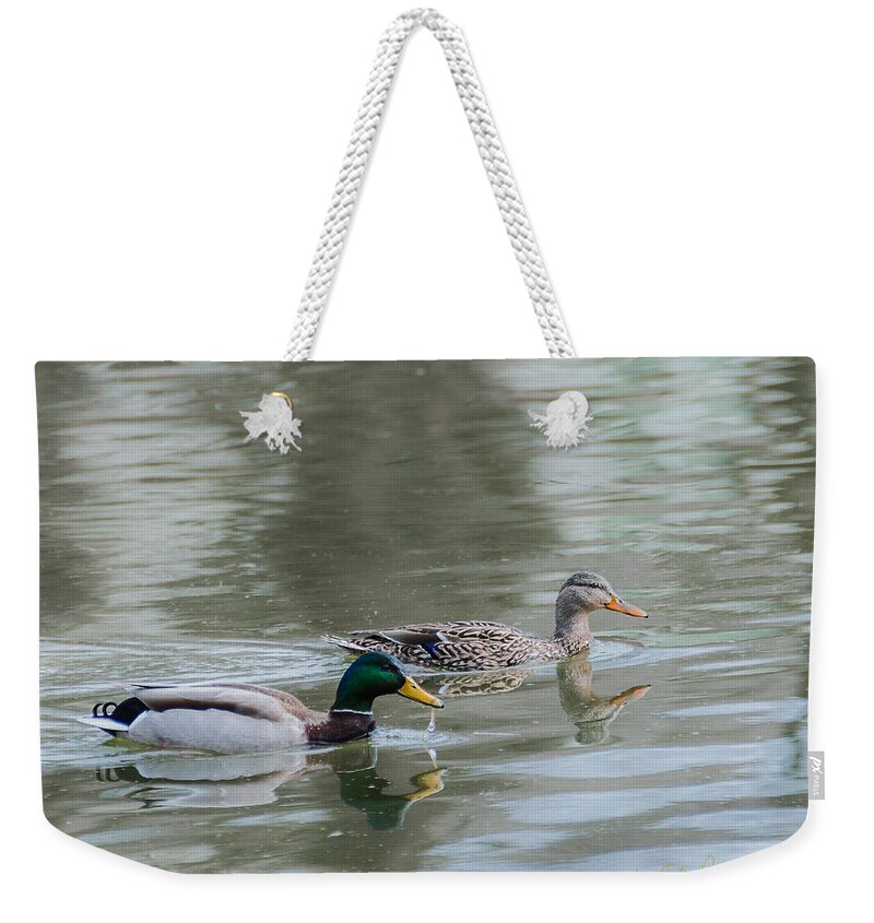 Heron Heaven Weekender Tote Bag featuring the photograph Millard Family by Ed Peterson