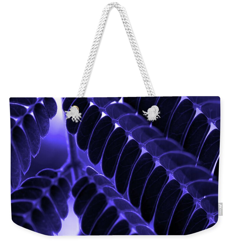 Mimosa Weekender Tote Bag featuring the photograph Mimosa Leaf Abstract 2 by Mike Eingle