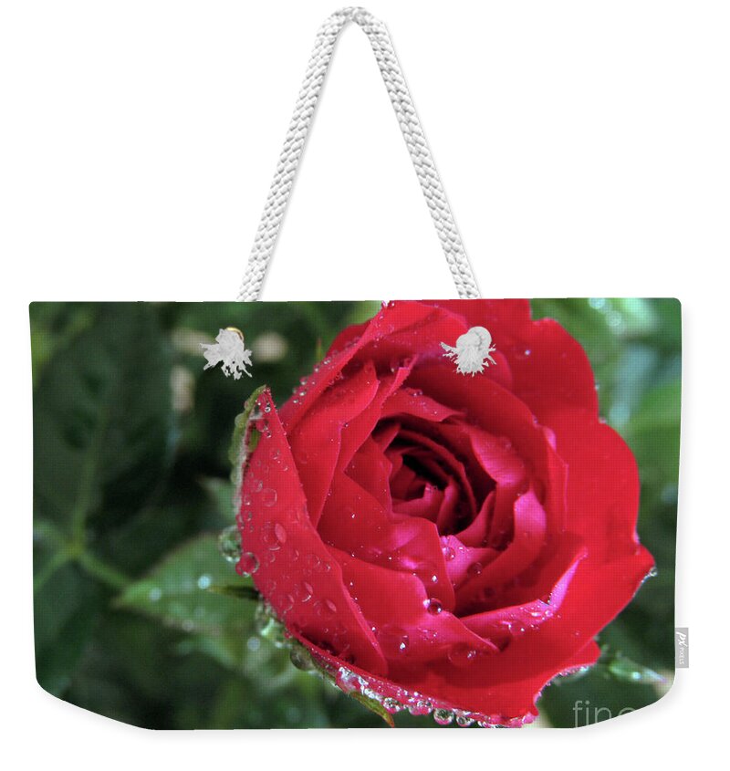 Rose Weekender Tote Bag featuring the photograph Mini Beauty 2 by Kim Tran