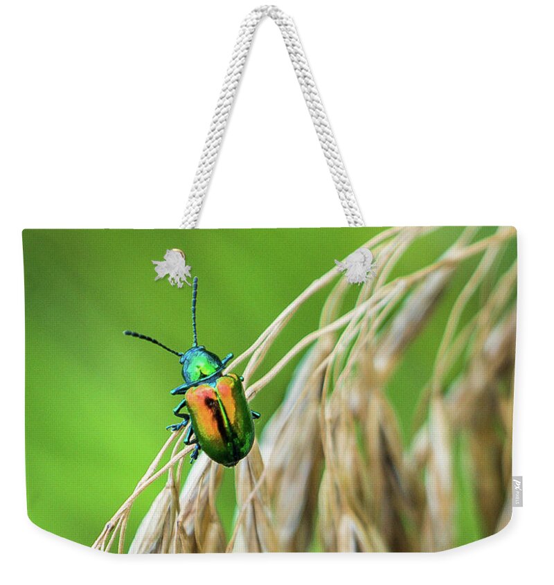 Grass Weekender Tote Bag featuring the photograph Mini Metallic Magnificence by Bill Pevlor