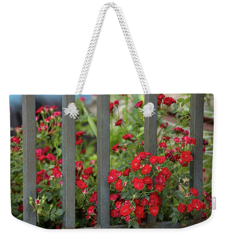 Red Weekender Tote Bag featuring the photograph Miniature Red Roses by Tim Fitzharris