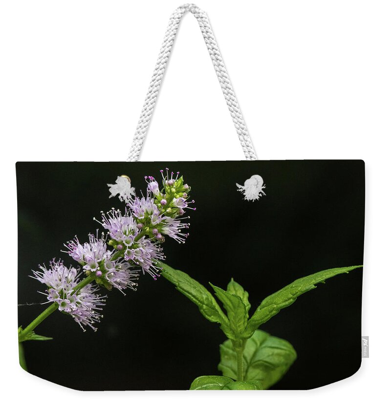 Mint Weekender Tote Bag featuring the photograph Mint Flower by Matt Malloy