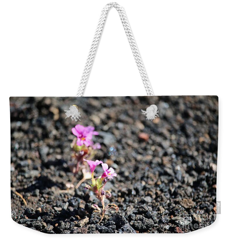 Crater's Of The Moon Weekender Tote Bag featuring the photograph Minute Monkey Flower by Susan Herber