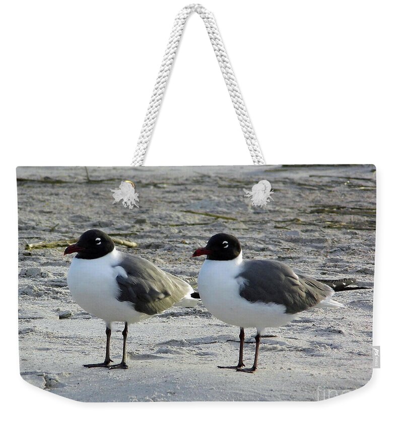 Gull Weekender Tote Bag featuring the photograph Mirror Image by D Hackett