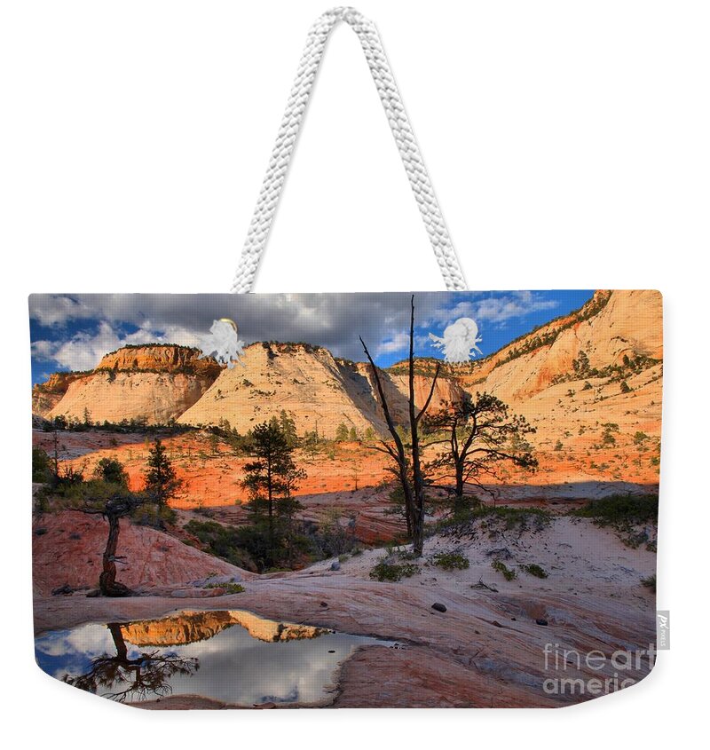 Zion East Weekender Tote Bag featuring the photograph Mirror In The Zion Desert by Adam Jewell