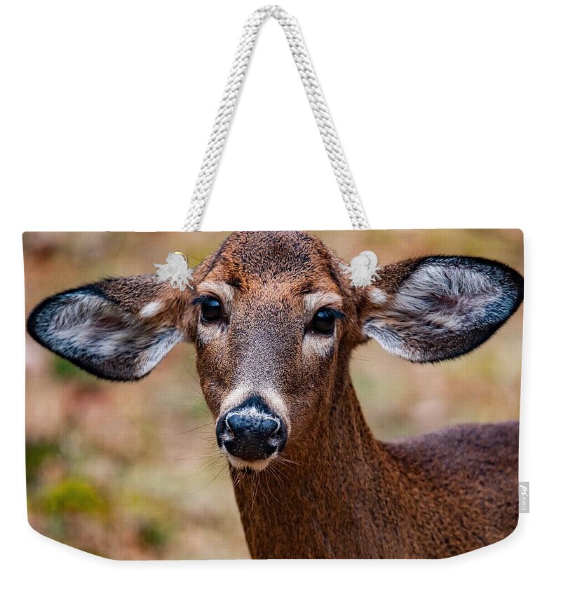 Deer Weekender Tote Bag featuring the photograph Miss Deer 1 by Buddy Morrison